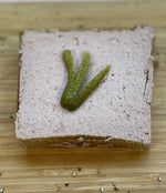 Pâté de foie 9,90€ le Kg